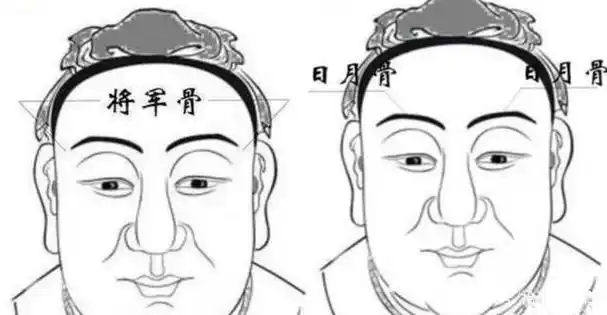 面相龙骨 龙角骨面相有多厉害