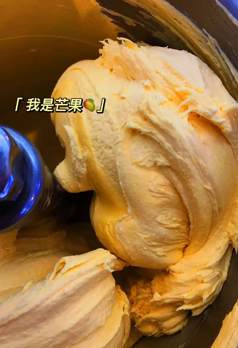 制作冰淇淋真的是治愈自己意大利手工冰淇淋