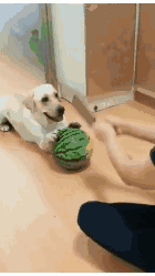 我一个吃泡面的竟然也敢看烤生蚝,我是真的飘了