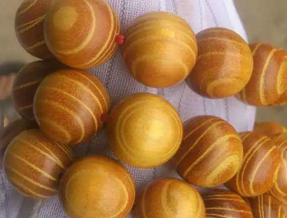 这种树不值钱,但它的树芯是稀罕物,与紫檀齐名,人称"帝王木"_南方