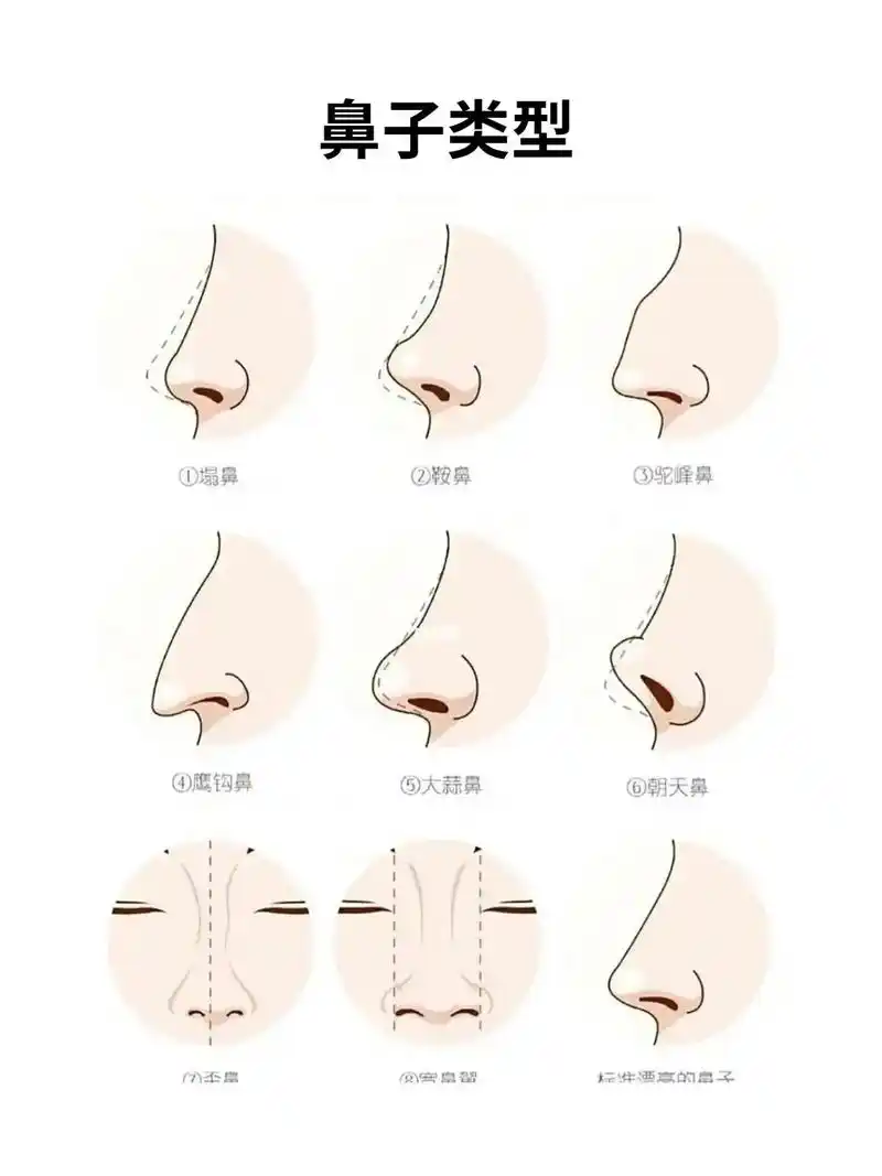 9种鼻子形态,看看你是第几个?你对自己的鼻子还满意吗?鼻子好 - 抖音