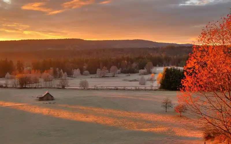 金色,冬季,阳光,自然风景,壁纸金色的冬季阳光壁纸