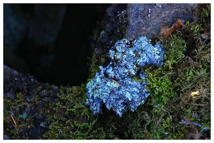巴林风光——《山石物语》