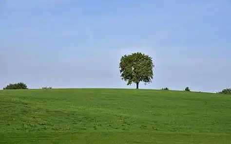 天天好彩下载免费