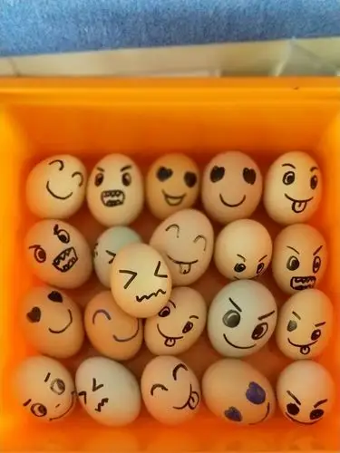 孩子们从家里带过来的蛋宝宝老师给它们画上的可爱的表情.