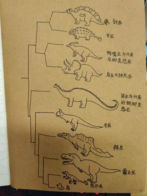 恐龙的种类有哪些?是怎么划分的?