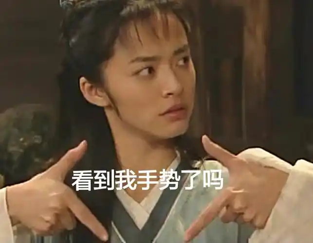 看到我手势了吗鄙视武林外传表情包你迟早被自己骚死斗图影视表情武林