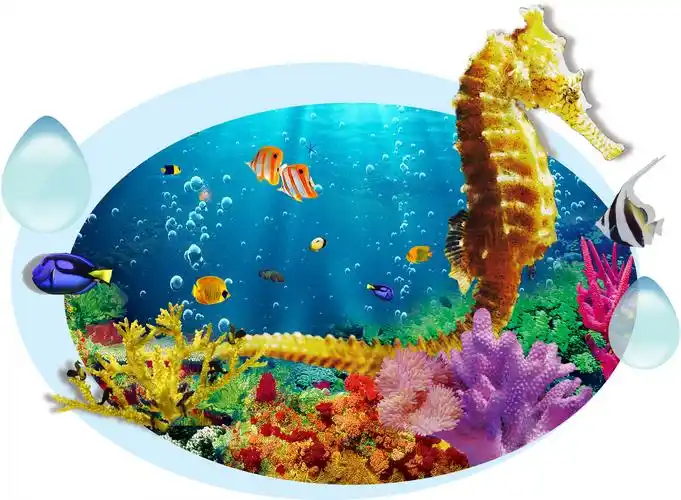 3d立体画 海底世界