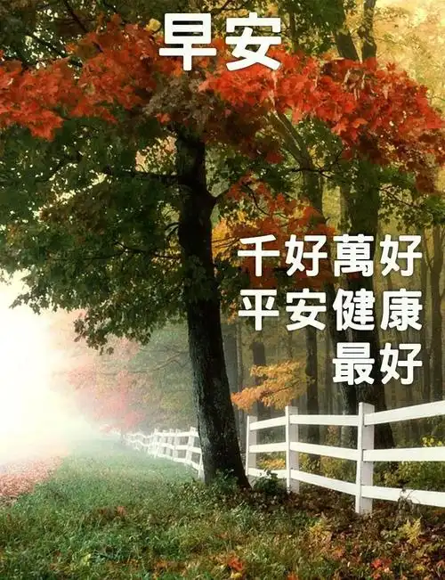 周一最新漂亮早上好问候动态图带字2020最美早安问候祝福语图片带字