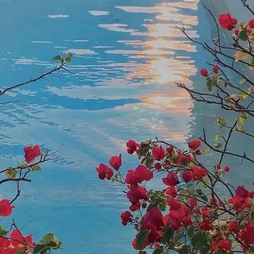 朋友圈背景图 | 适逢其会 猝不及防_头像_微信_壁纸