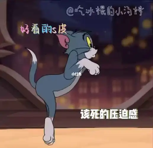 猫和老鼠猫篇