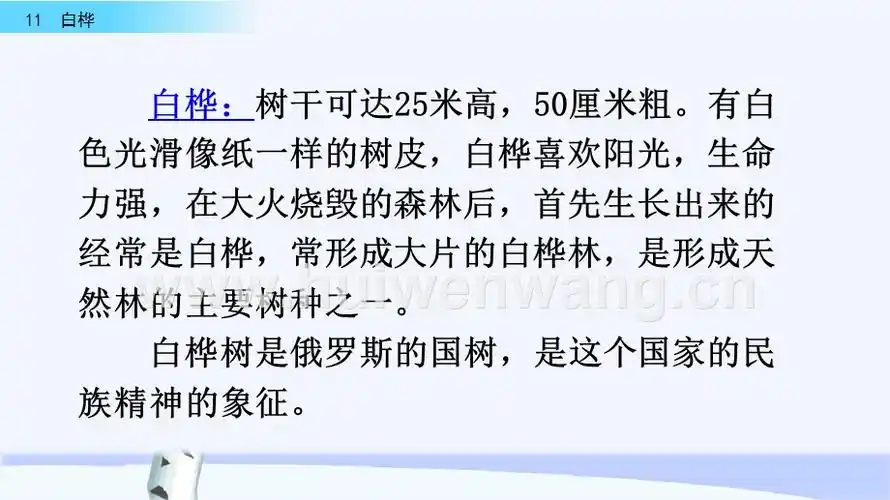 四年级语文下册课件11白桦50张ppt部编版pptx