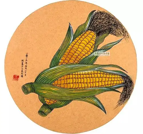 写生画香甜的玉米