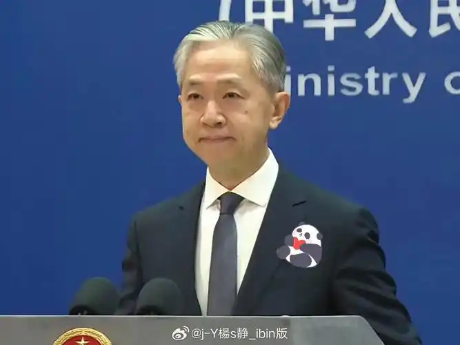 【汪文斌】进来看汪司的小奶膘