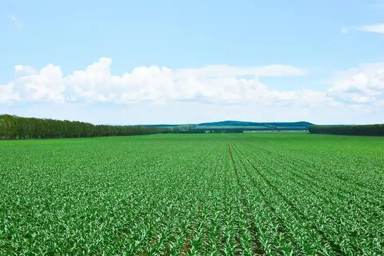 北大荒集团云山农场有限公司风光掠影 - 美篇