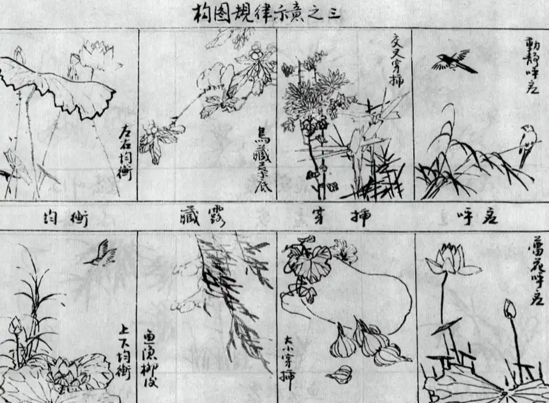 国画花鸟画构图图示总结 构图的规律 1.