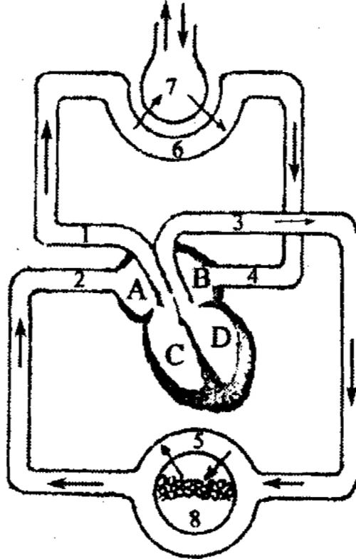 血液循环练习答案