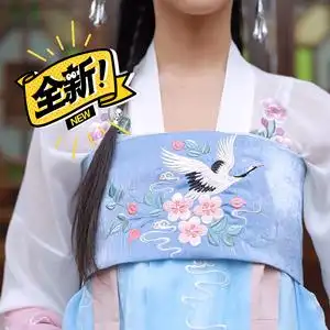 【汉衣晟道】【五彩】配饰搭配齐胸襦裙胸衣精美花卉刺绣汉服诃子