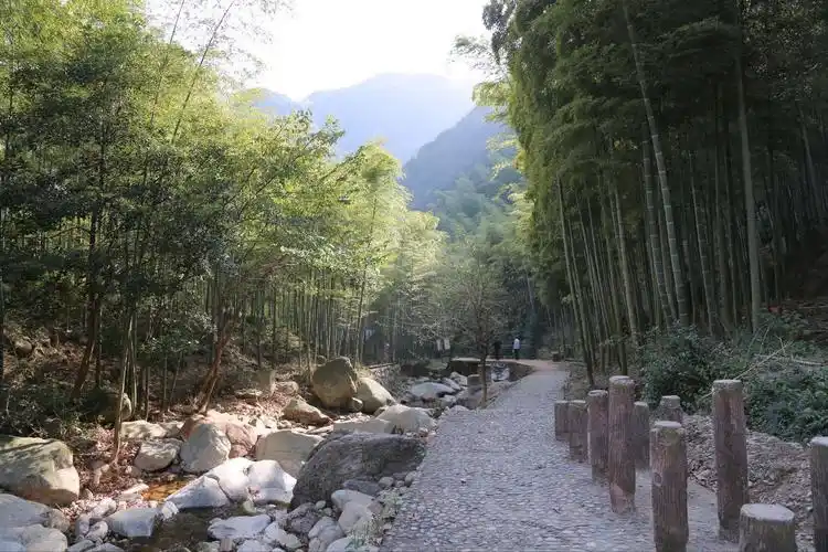 临安 白水涧门票