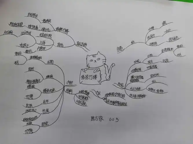 文元小学603班语文课文思维导图草图