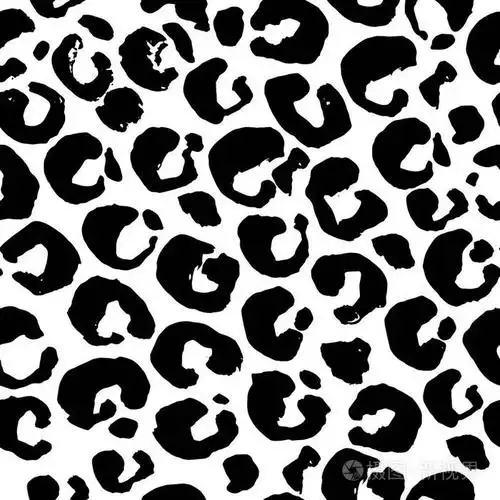 无缝的黑白豹纹图案.动物皮肤的质感.矢量插图