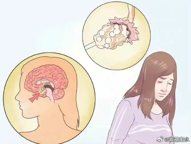 把性激素六项掰碎揉烂地分析玩完,原来这么简单!