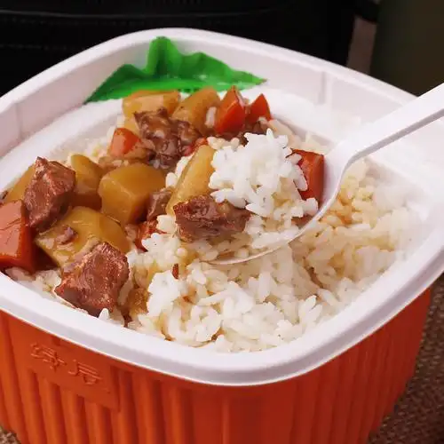 绿辰自热方便米饭 快餐速食 东北大米户外自加热食品450g*4盒