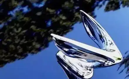 看到这些车标别手贱乱摸 弄坏这两年就白干了