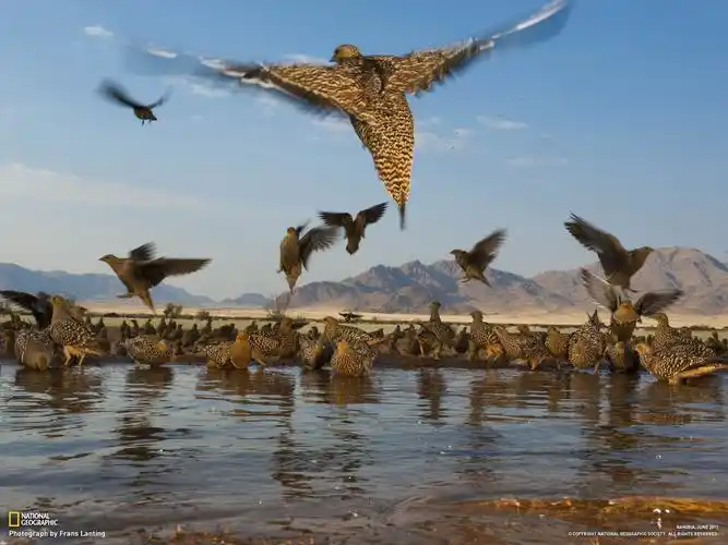 《国家地理杂志》六月摄影壁纸