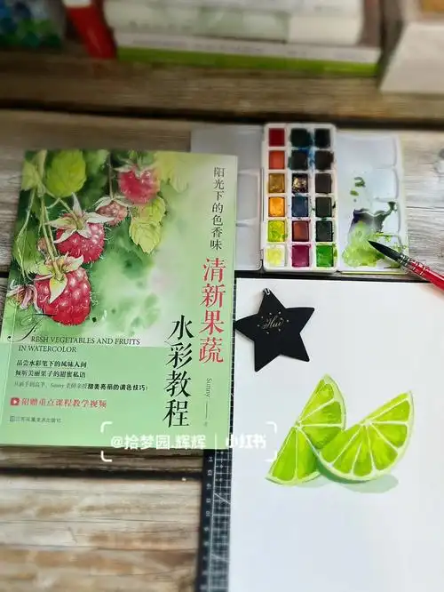 好书推荐水彩教程阳光下的色香味清新果