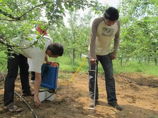 施肥时期欠科学施肥方法太单调果树施肥这八种现象要不得