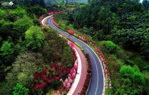 绿心公园春色美