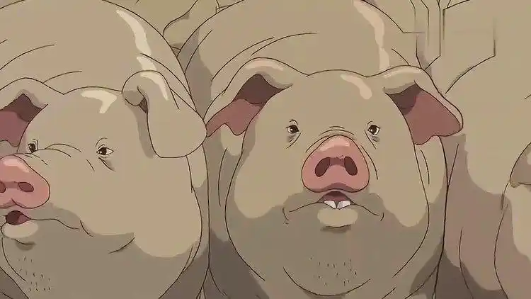 千与千寻:父母偷吃变成猪,女孩从一群猪中找到父母就还自由