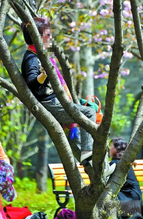 但一些市民为留影采取了爬树,折枝等不文明的行为