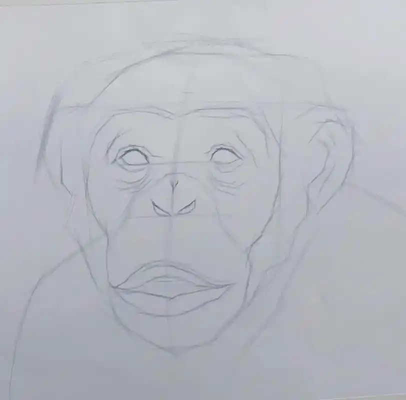 素描猴子过程#素描 #精微素描 #一起学画画 - 抖音