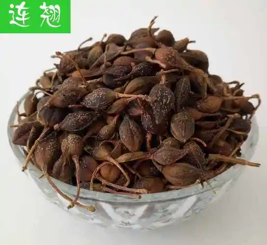 连翘图片(神农本草经药物解读——连翘)_环球信息网