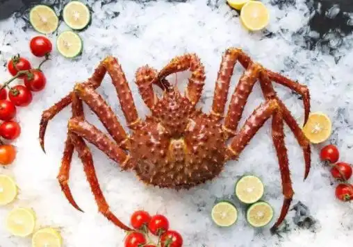 世界最贵十种蟹排行榜阿拉斯加帝王蟹体型大俄罗斯帝王蟹鲜美