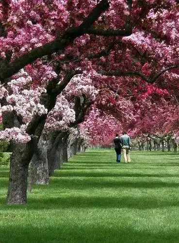 与你同行,一路芬芳