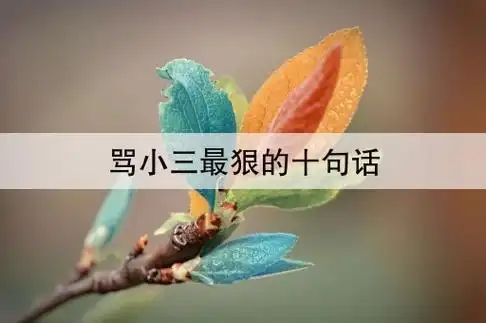 骂小三最狠的十句话(骂小三的话越狠越好)