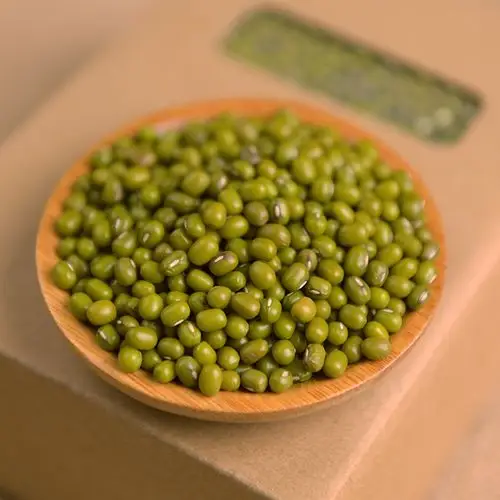 内蒙古赤峰小绿豆