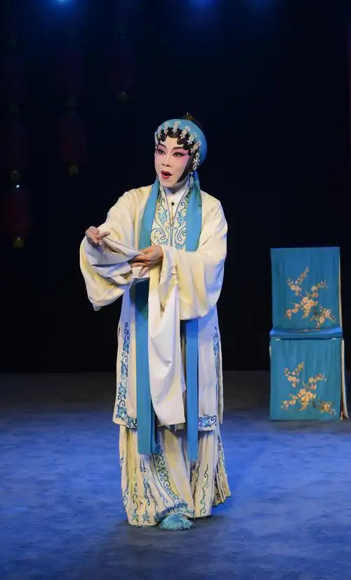 万象微影展49期 卢峻仪: 看过的粤剧 拍过的戏剧人生