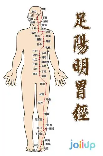 《运动与中医的健康观》经络篇:足阳明胃经