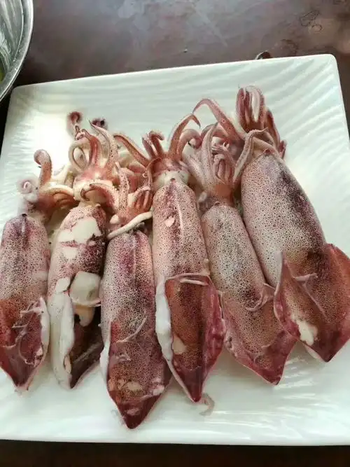 境庭吊桶鱿鱼,有墨有糕的哦.拒绝药水侵泡,自然生态,还你营养和健康.