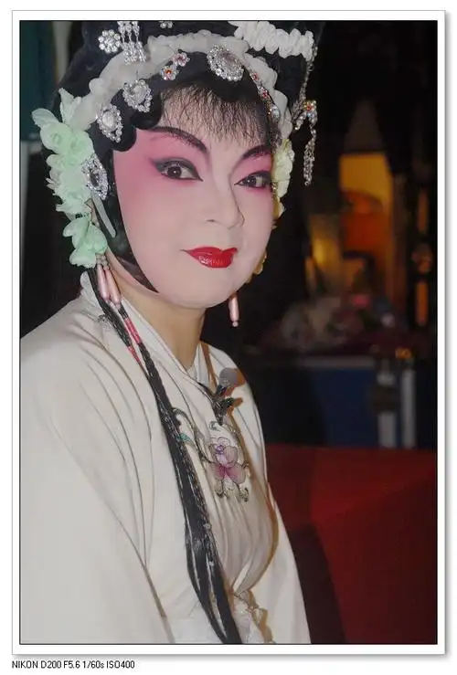 [讨论]旦角化妆的三种基本模式照片