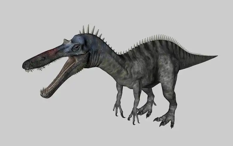 恐龙c4d模型似鳄龙suchomimus