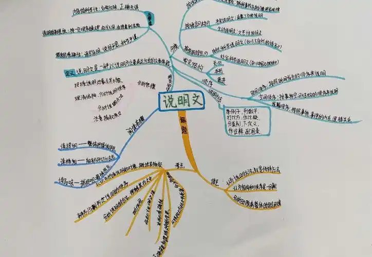 巧用思维导图,助力说明文教学