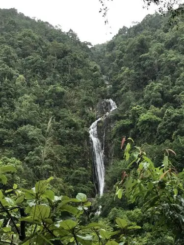 五指山热带雨林风景区