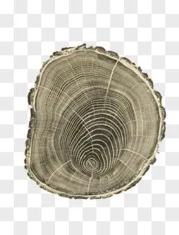 卡通手绘树图案