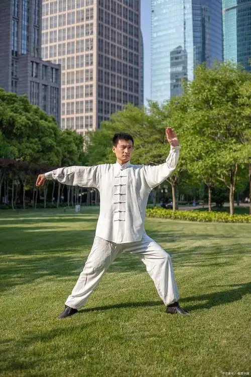 85式太极拳记忆方法