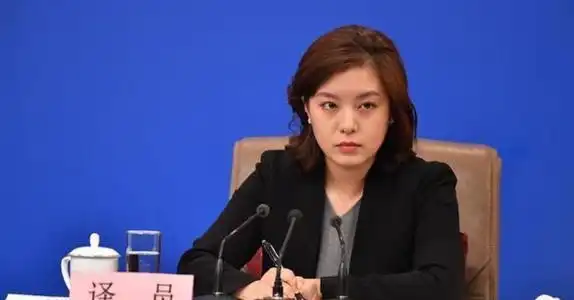 张京简历中国外交部冰美人张京